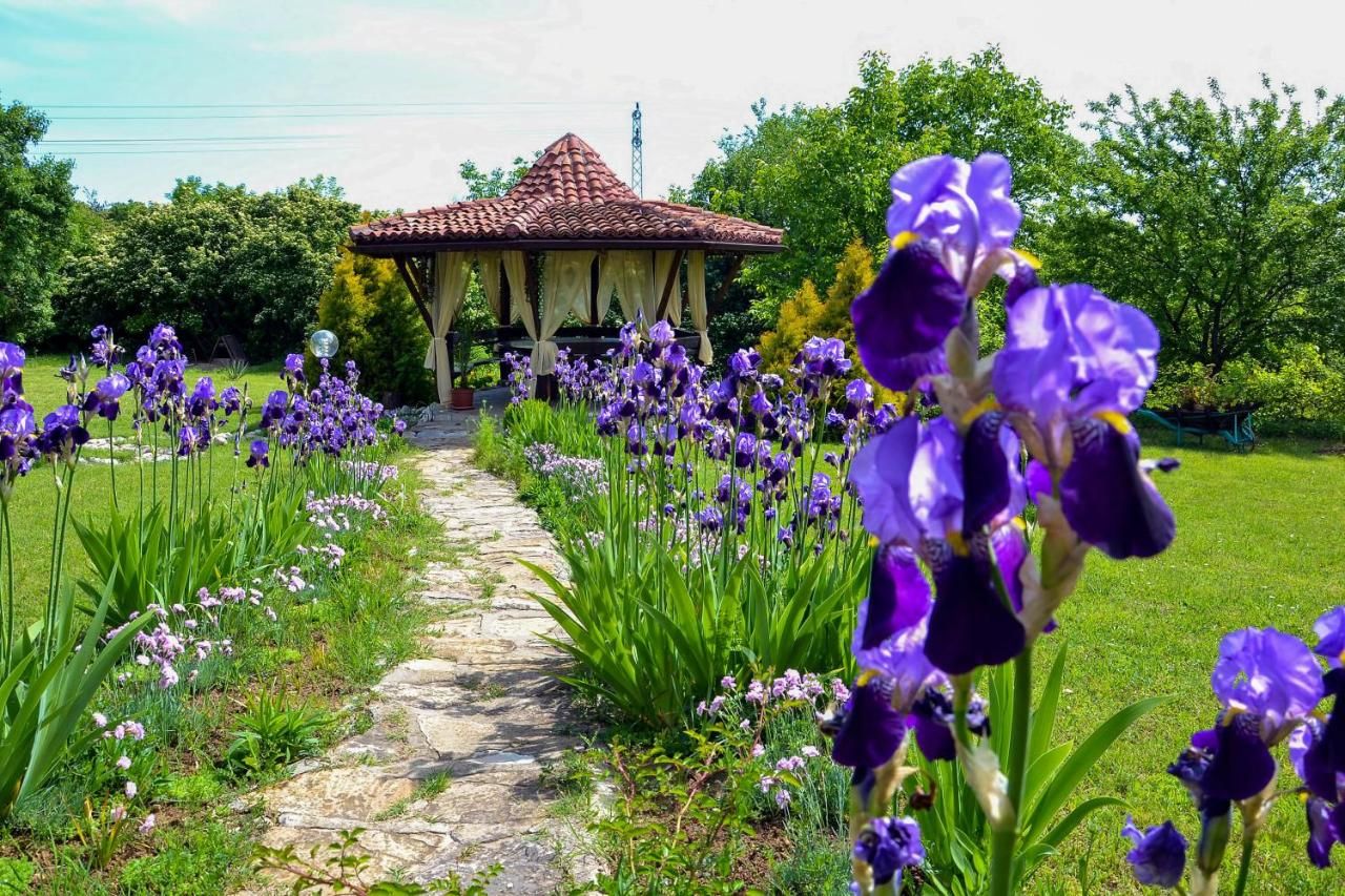 Отель Park Hotel Djevana Горна-Оряховица